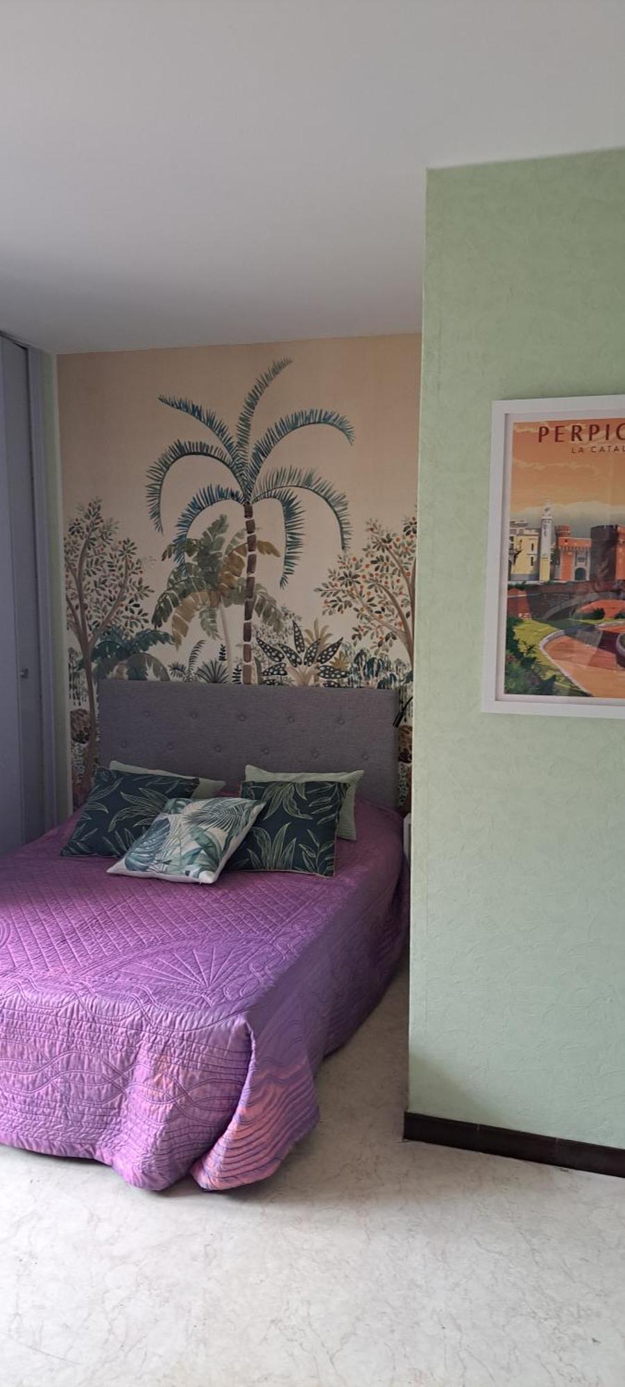Studio Phannie Renove 50M Cures Amelie-les-Bains-Palalda Exterior photo