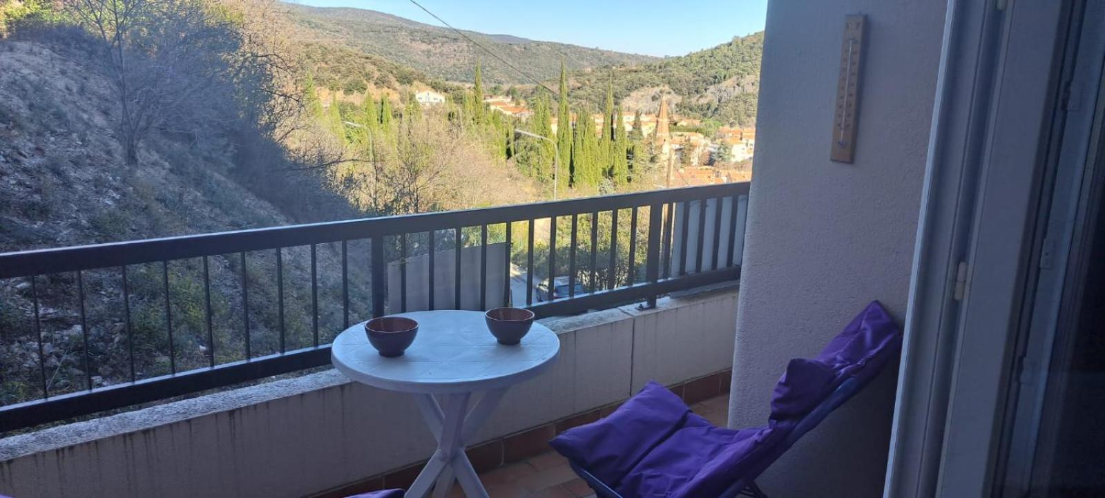 Studio Phannie Renove 50M Cures Amelie-les-Bains-Palalda Exterior photo